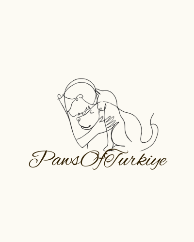 PawsOfTurkiye Logo – Tierschutzorganisation für Hunde und Katzen in der Türkei