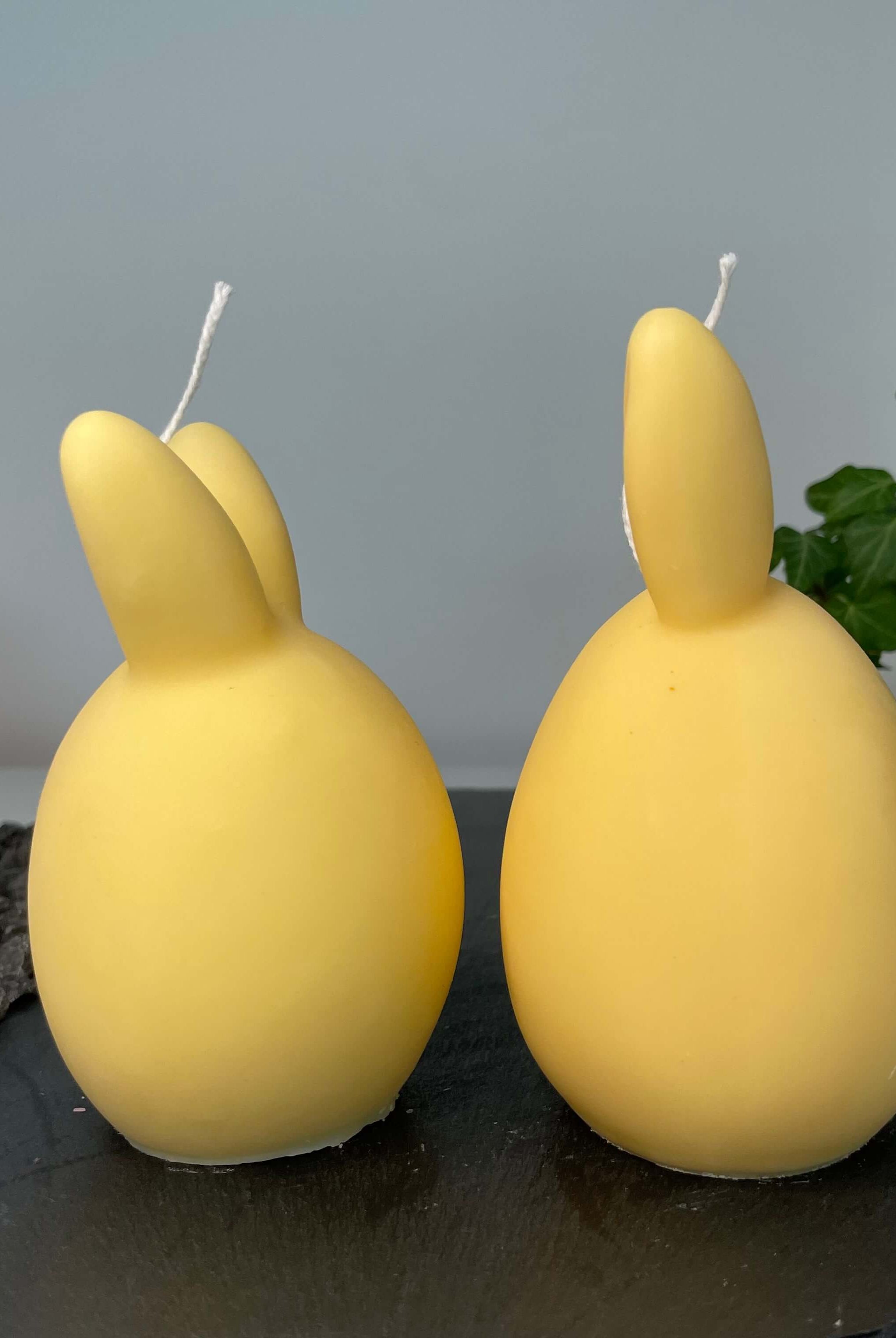 Hier sieht man unsere Bunny Breeze Easter Egg Kerzen. Mit ihrem Hasen und Osterei Design sind sie perfekt als Dekoration geeignet. Sie sehen elegant, ästhetisch und stilvoll aus. In Gelb.