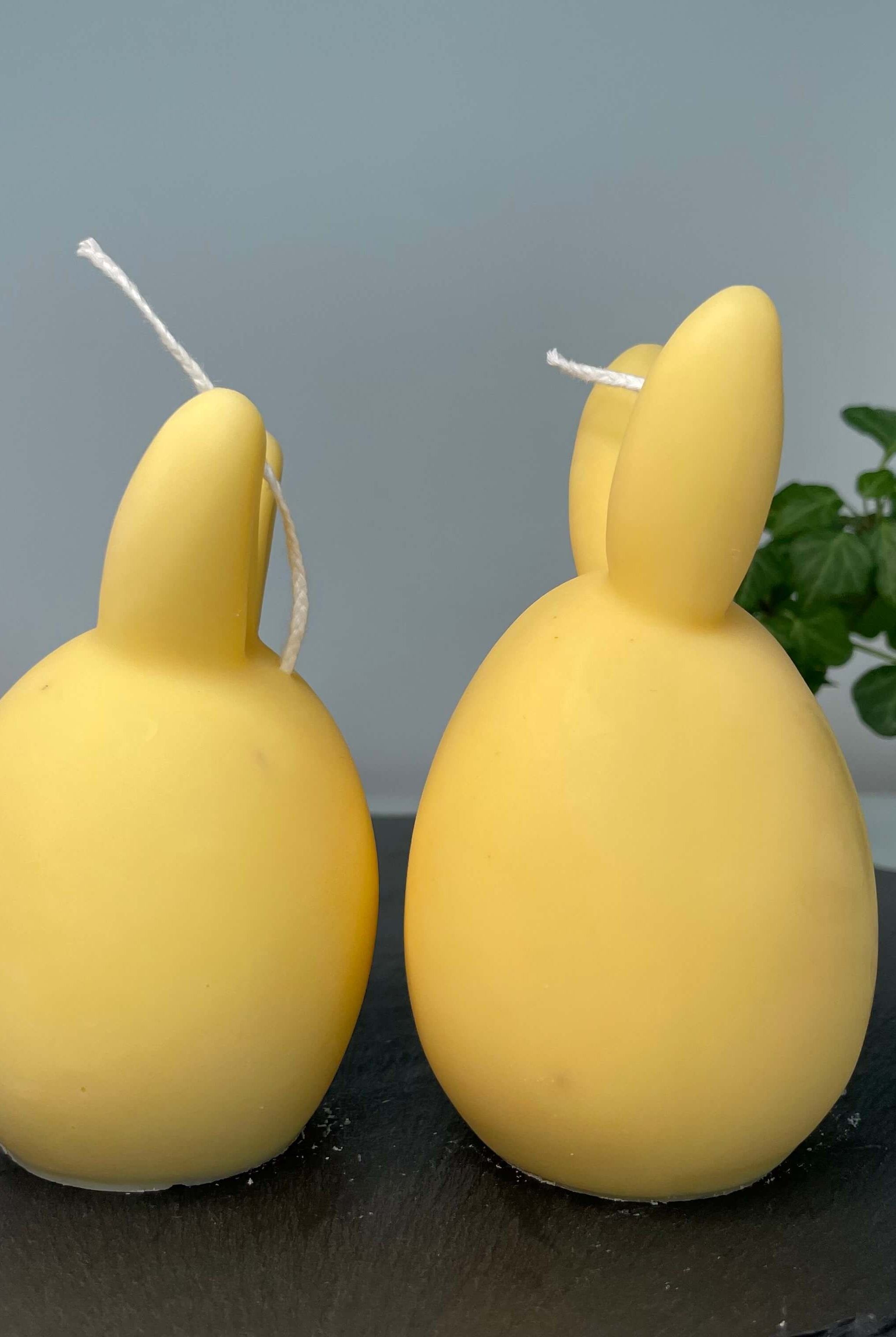 Unsere Bunny Breeze Easter Egg Kerzen sind mit ihrem Osterei und Hasen Design perfekt als Ostergeschenk und Gastgeschenk geeignet. Sie sind aus hochwertigem Sojawachs handgefertigt. In Gelb.