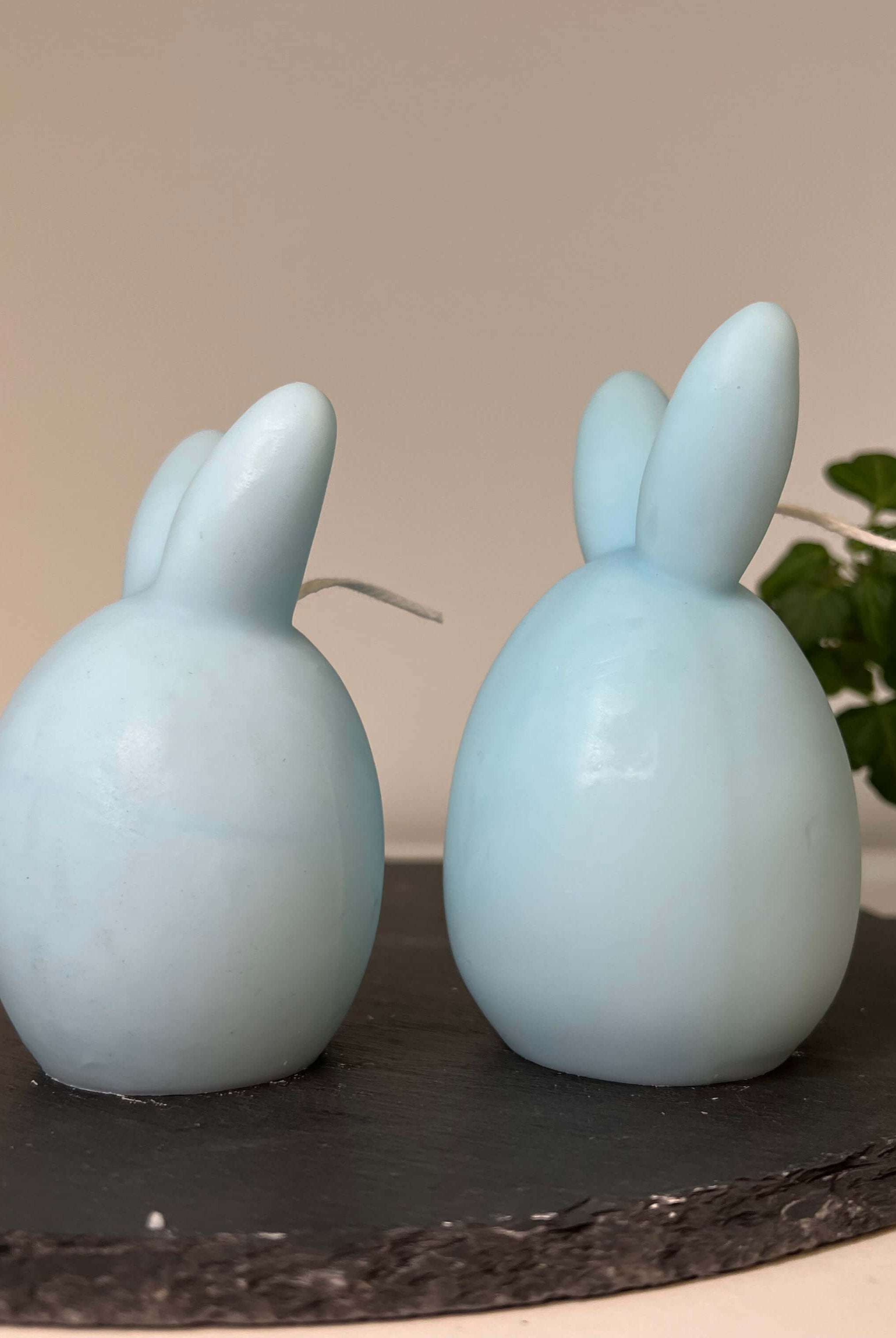 Unsere Bunny Breeze Easter Egg Kerzen sind mit ihrem Osterei und Hasen Design perfekt als Ostergeschenk und Gastgeschenk geeignet. Sie sind aus hochwertigem Sojawachs handgefertigt. In Hellblau.