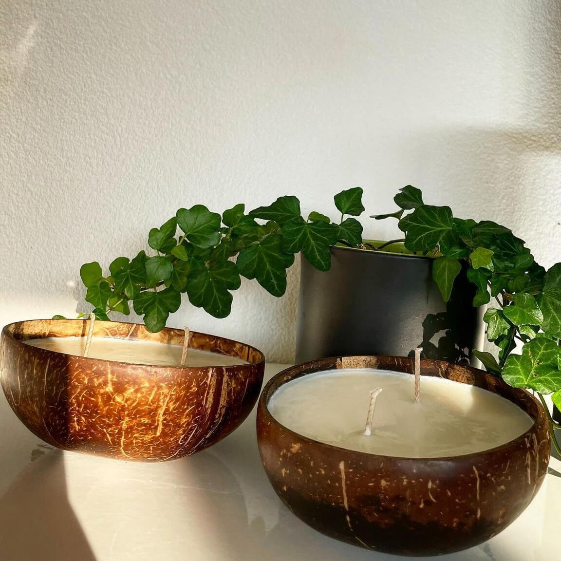 Unsere Kokosnuss Kerze Coconut Dream ist in verschiedenen Düften erhältlich. Diese Duftkerze hat einen angenehmen und beruhigenden Geruch. Sie ist perfekt für entspannte und gemütliche Tage.