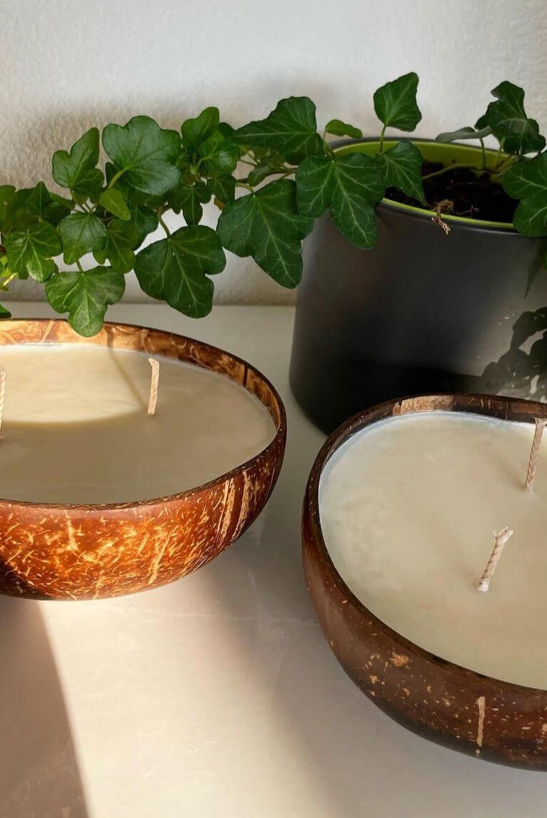 Hier sieht man unsere Kokosnuss Kerze Coconut Dream. Sie ist perfekt als Dekoration geeignet. Sie sieht elegant und ästhetisch aus.