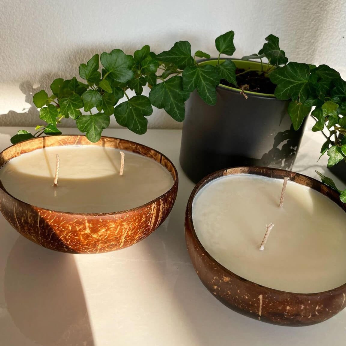 Hier sieht man unsere Kokosnuss Kerze Coconut Dream. Sie ist perfekt als Dekoration geeignet. Sie sieht elegant und ästhetisch aus.