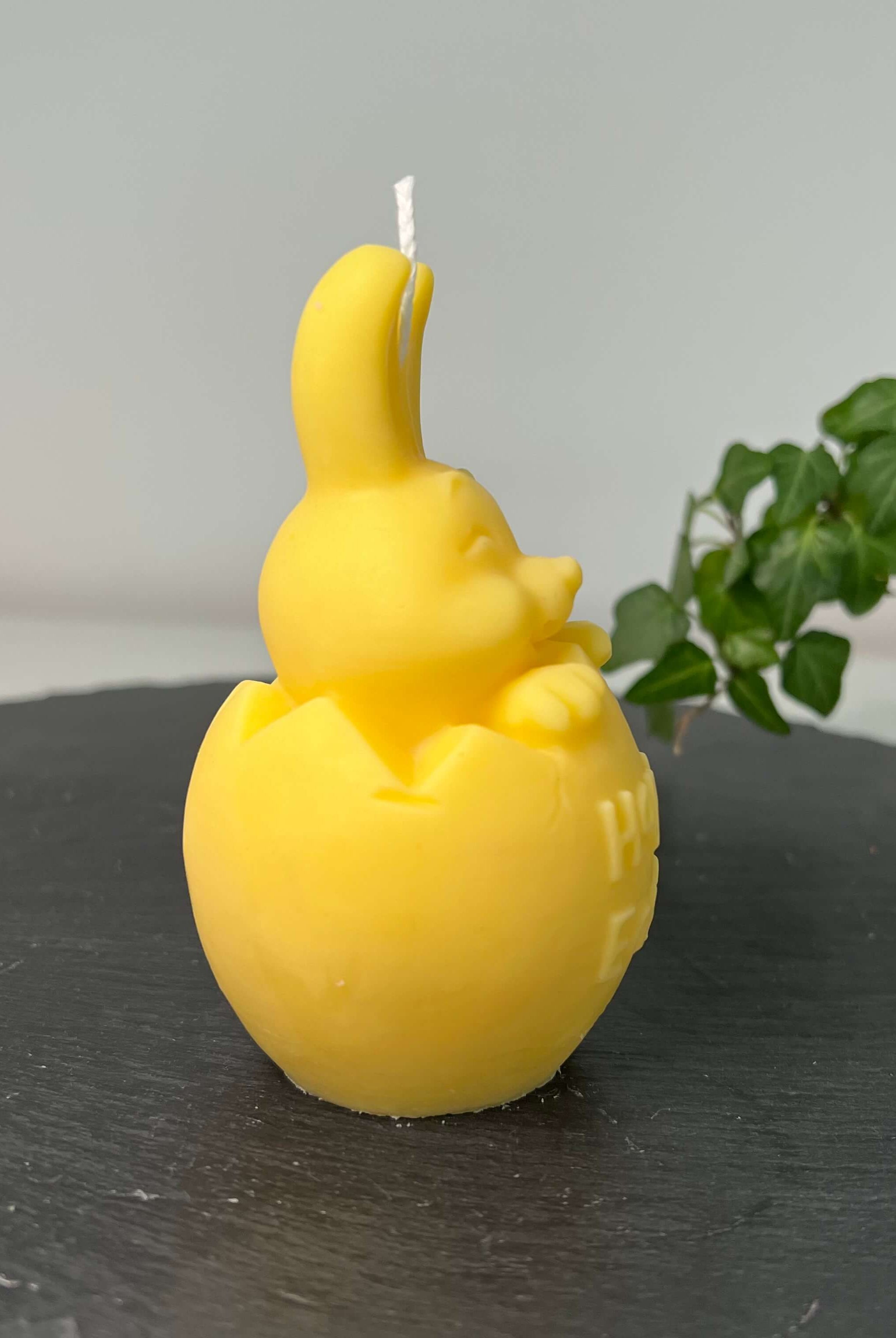 Die Easter Jubilee Bunny Duftkerze ist in verschiedenen Düften erhältlich. Die Düfte haben einen beruhigenden und angenehmen Geruch. Zudem entspannen sie, perfekt für gemütliche Tage. In gelb.