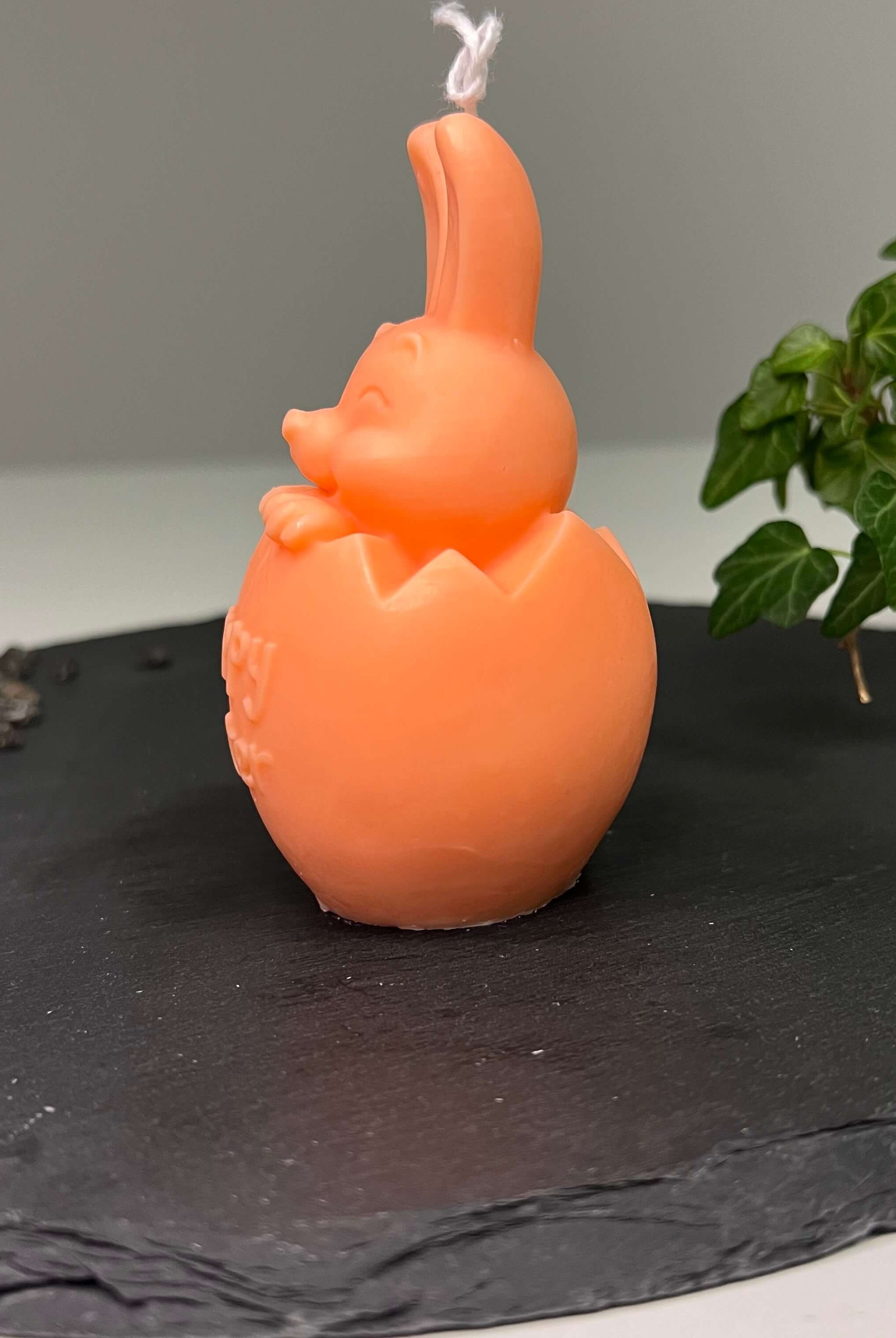 Die Easter Jubilee Bunny Duftkerze ist in verschiedenen Düften erhältlich. Die Düfte haben einen beruhigenden und angenehmen Geruch. Zudem entspannen sie, perfekt für gemütliche Tage.