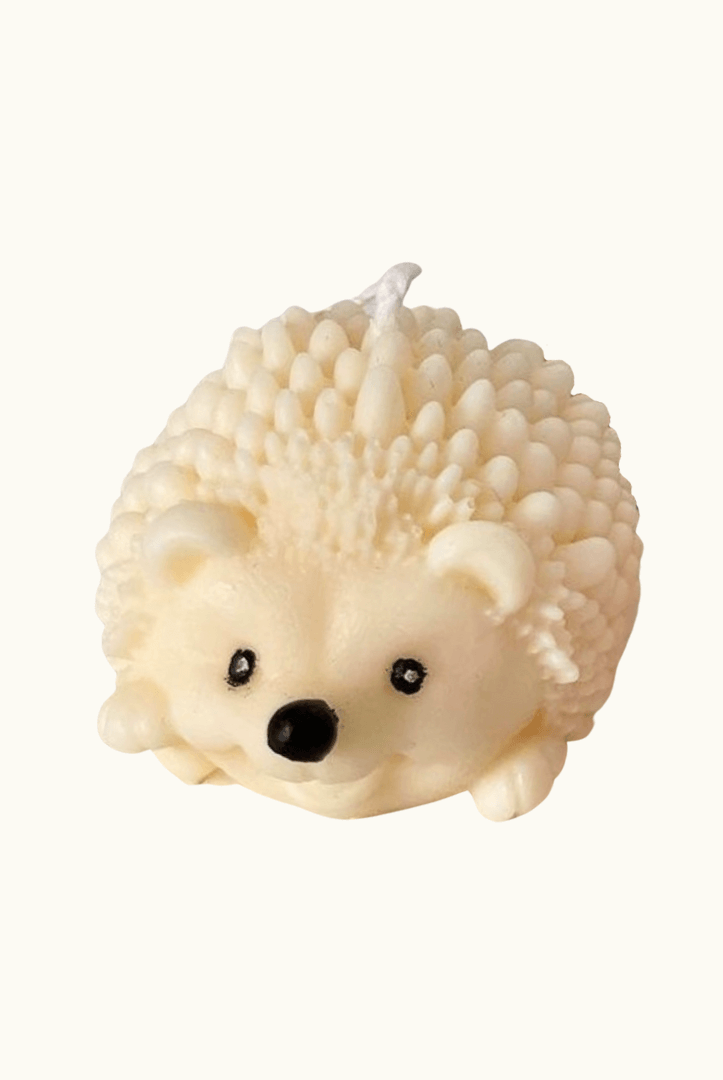 Auf diesem Bild sieht man unsere Hedgehog Enchantment Kerze. Sie ist handgemacht aus Bio Sojawachs. Zudem ist sie vegan, nachhaltig und umweltfreundlich.