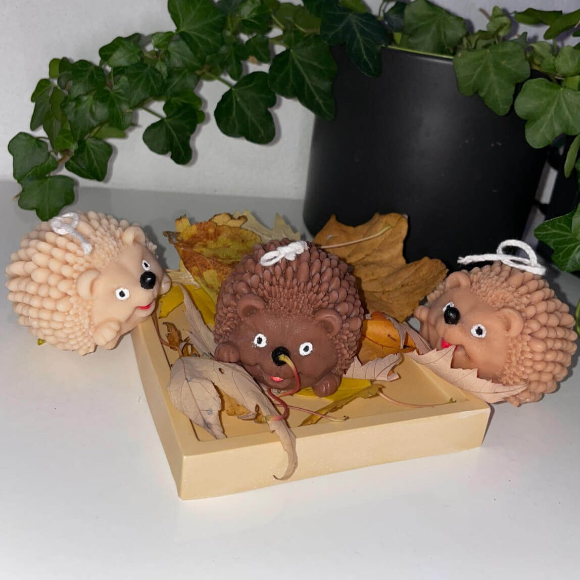 Die Hedgehog Enchantment Kerzen sind perfekt als Osterkerze, Weihnachtskerze und Herbstkerze geeignet. Das Igel Design ist einzigartig und stilvoll. Handgefertigt aus hochwertigem Sojawachs.