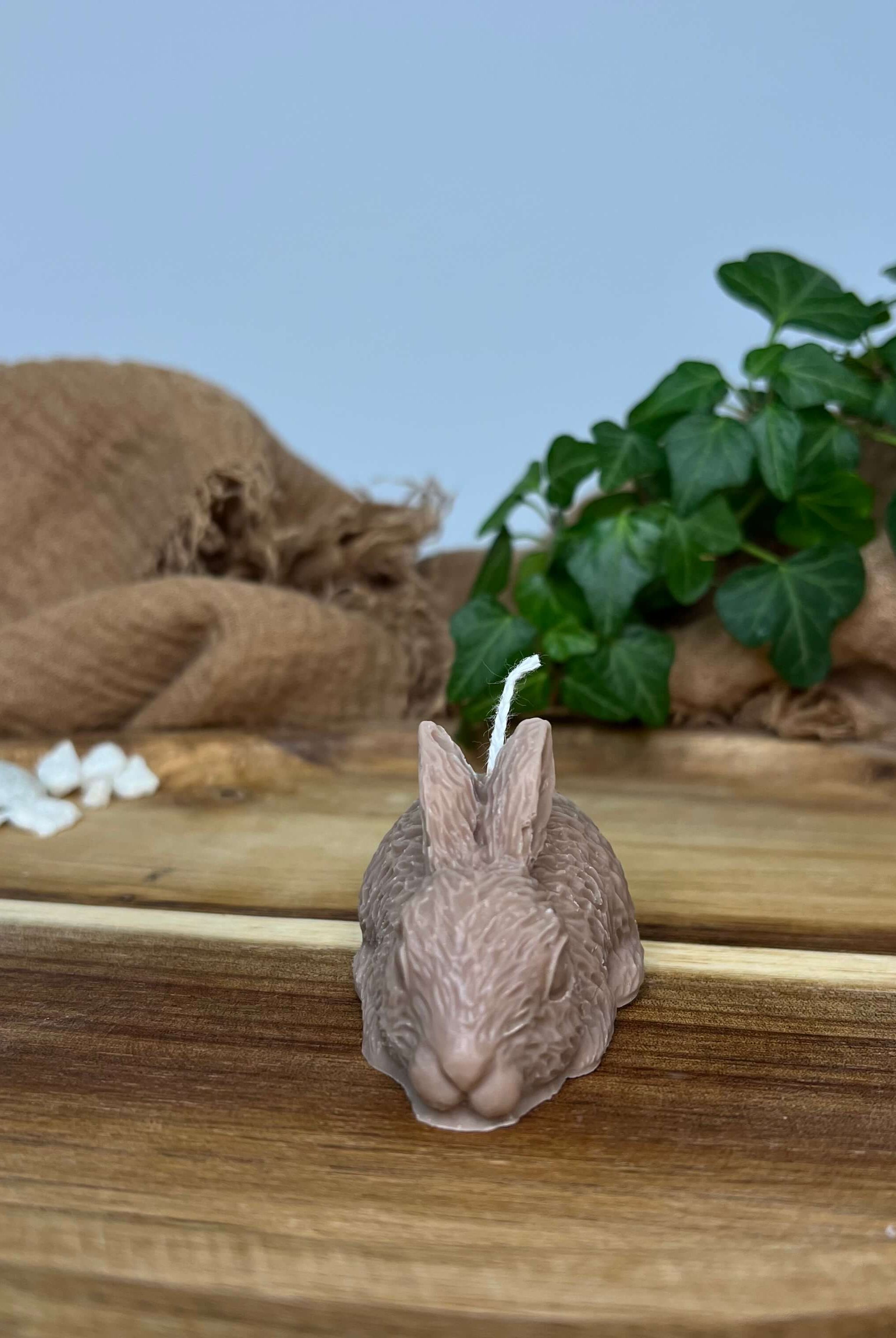 Hier sieht man unsere Little Bunny Gleam Kerze. Diese Hasenkerze ist perfekt als Dekoration geeignet. Mit ihrem einzigartigen und individuellen Aussehen verzaubert sie jedes Zuhause. In Braun.