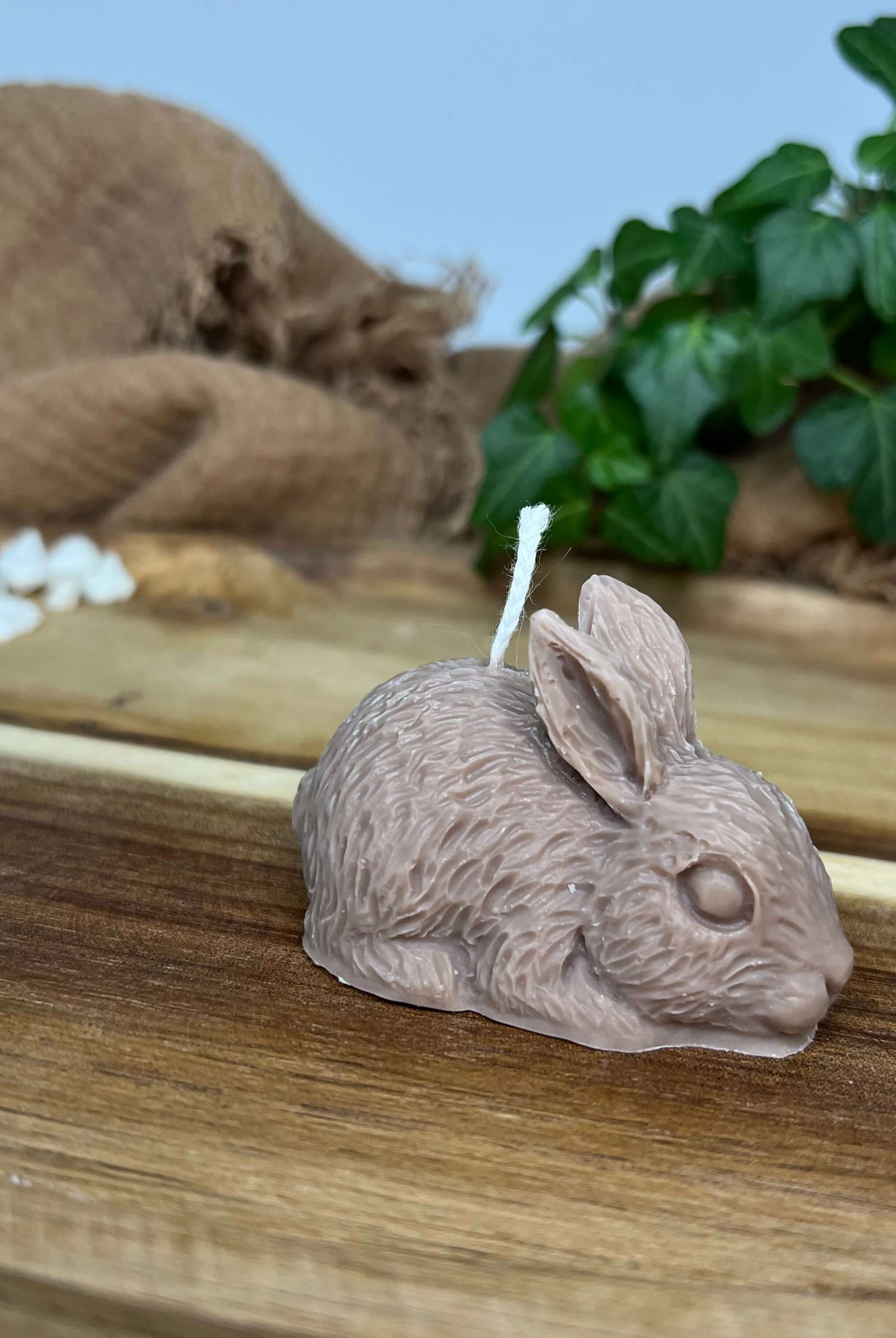 Auf diesem Bild sieht man unsere Little Bunny Gleam Kerze. Sie ist handgemacht aus Sojawachs. Auch ist sie vegan, nachhaltig und Umweltfreundlich. Sie hat ein Hasen Design. In der Farbe Braun.