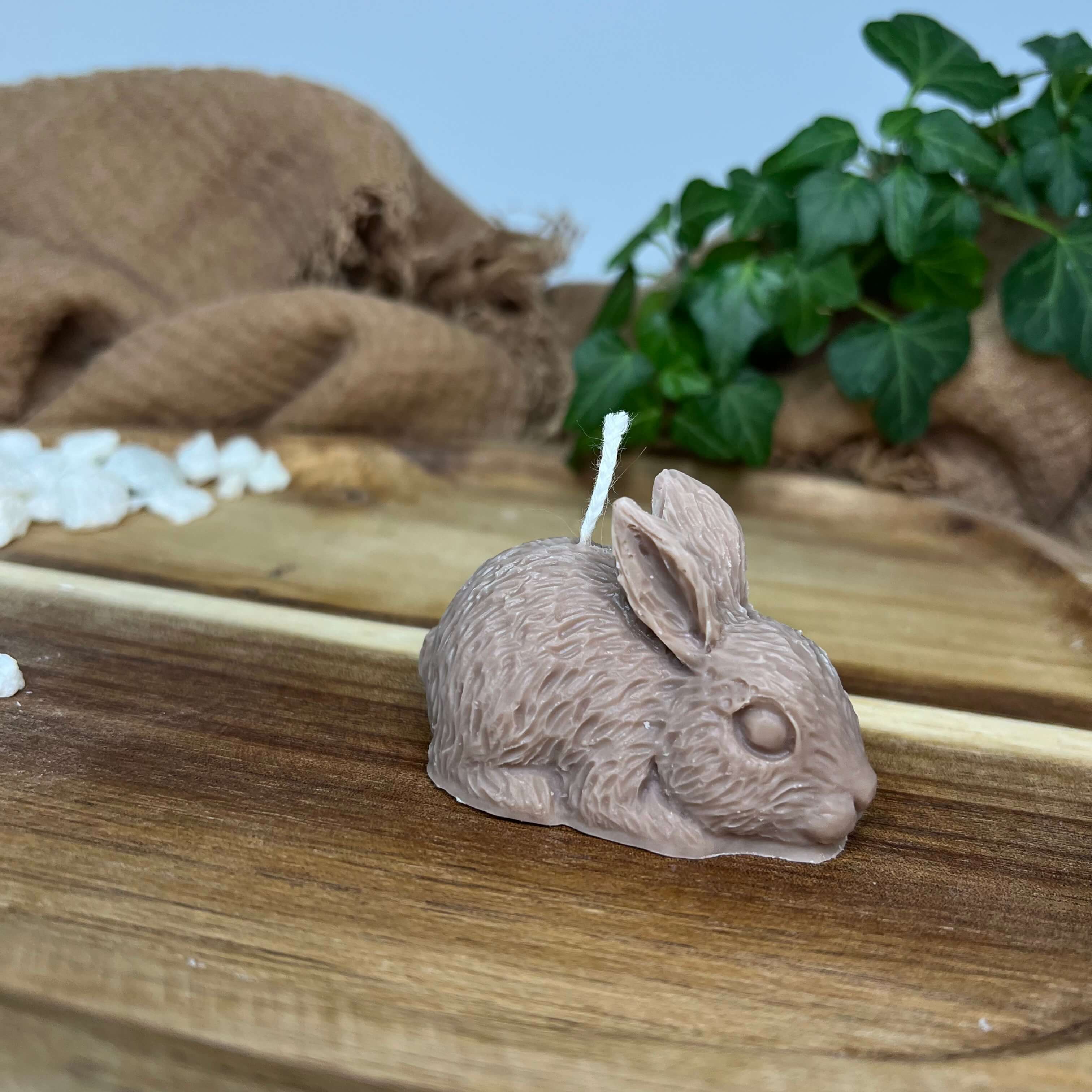 Auf diesem Bild sieht man unsere Little Bunny Gleam Kerze. Sie ist handgemacht aus Sojawachs. Auch ist sie vegan, nachhaltig und Umweltfreundlich. Sie hat ein Hasen Design. In der Farbe Braun.