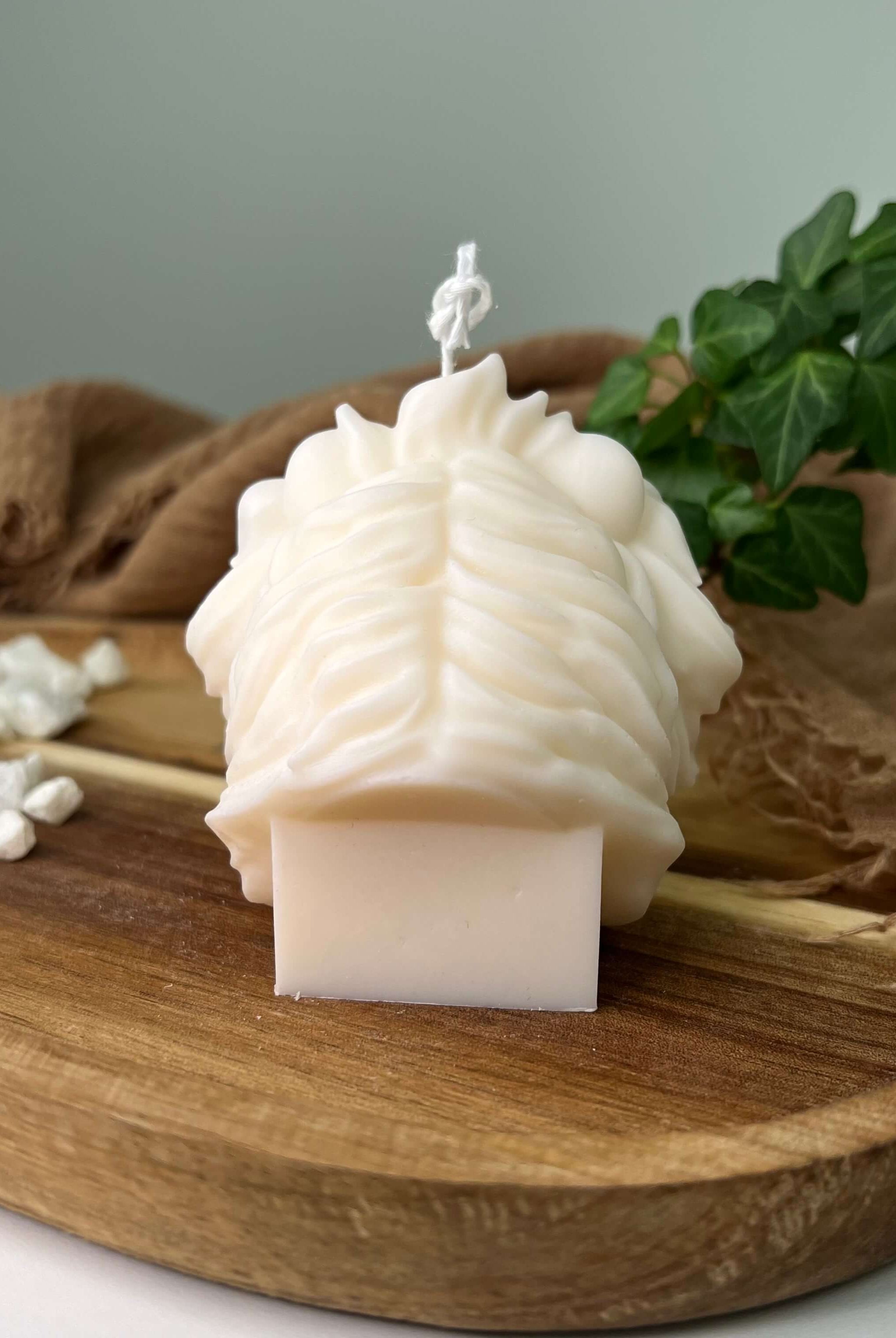 Dargestellt ist hier die Löwen Kerze Majesty Lion Mane. Zusehen ist sie von hinten.