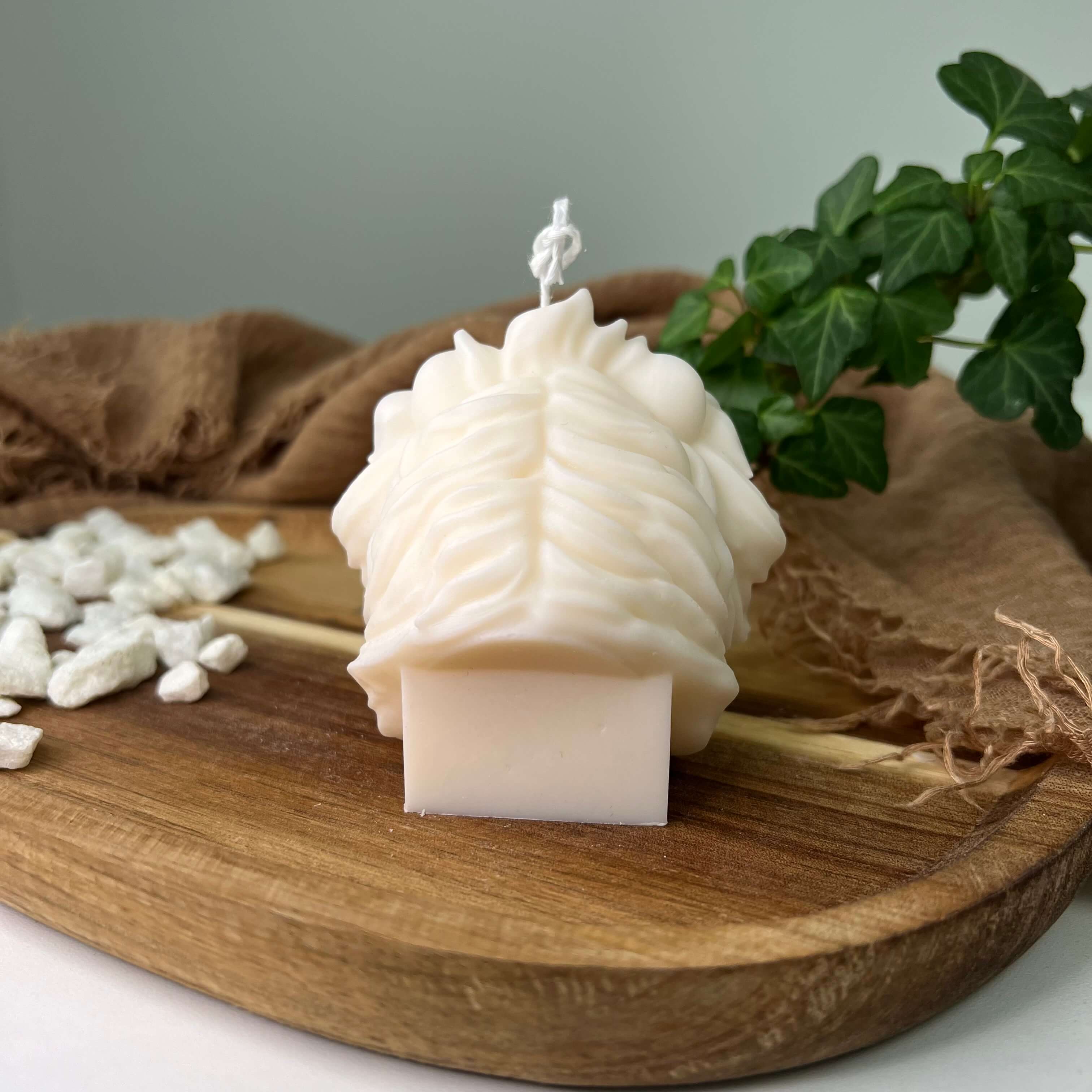 Dargestellt ist hier die Löwen Kerze Majesty Lion Mane. Zusehen ist sie von hinten.