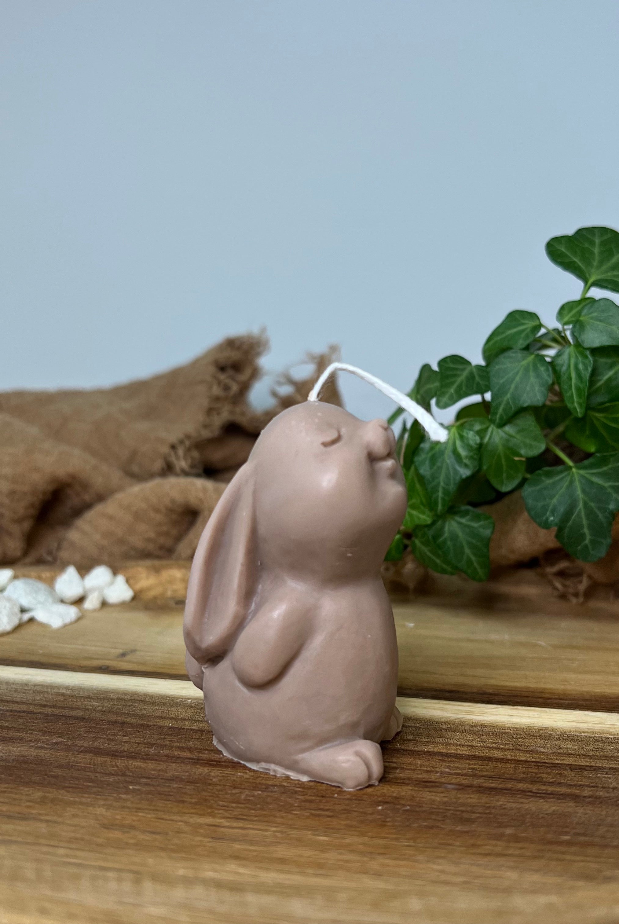 Auf diesem Bild sieht man unsere Mystic Meadow Bunny Light Kerze. Sie ist perfekt als Dekoration geeignet mit ihrem eleganten und ästhetischem Aussehen. Ein wahrliches einzigartiges Unikat. In Braun.