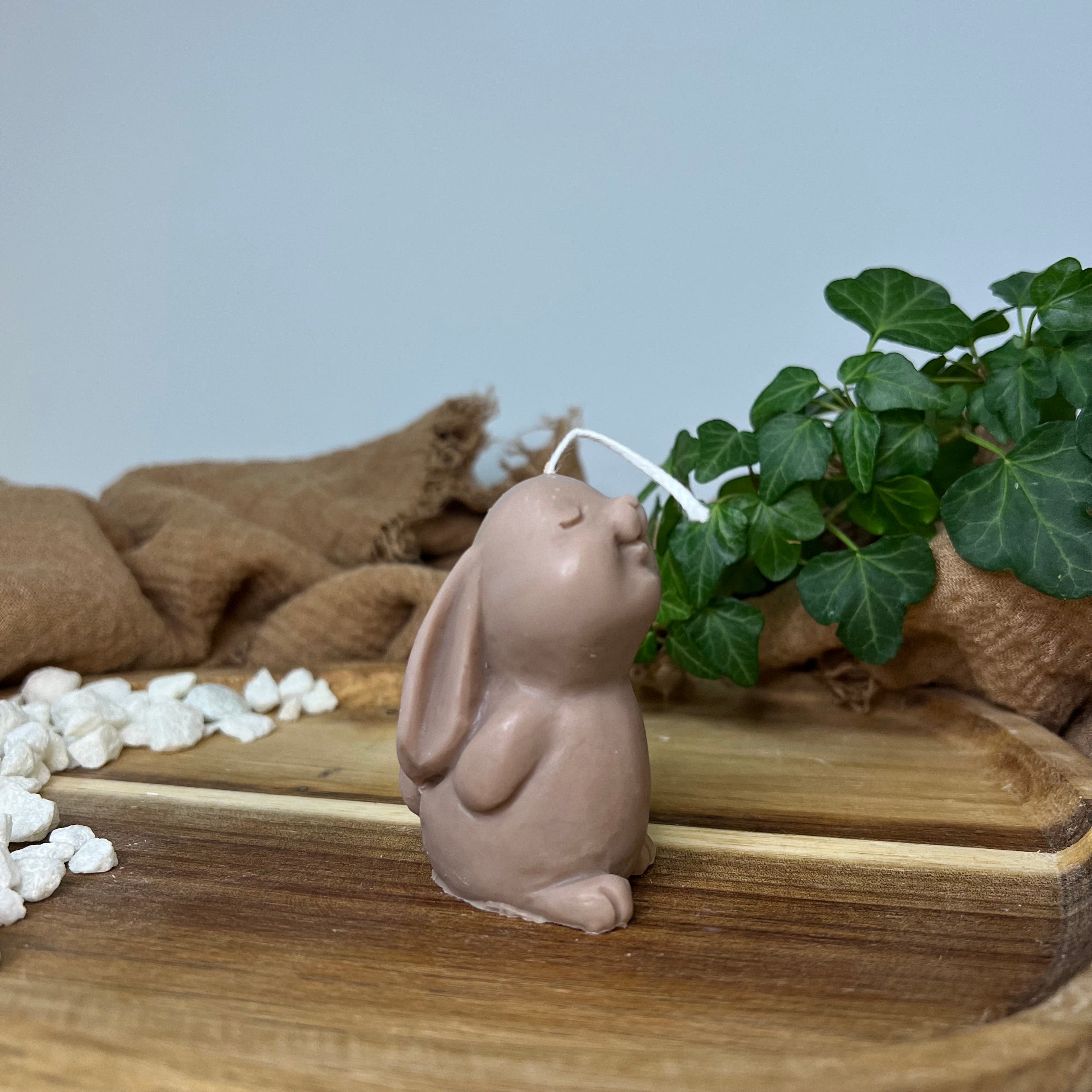 Auf diesem Bild sieht man unsere Mystic Meadow Bunny Light Kerze. Sie ist perfekt als Dekoration geeignet mit ihrem eleganten und ästhetischem Aussehen. Ein wahrliches einzigartiges Unikat. In Braun.