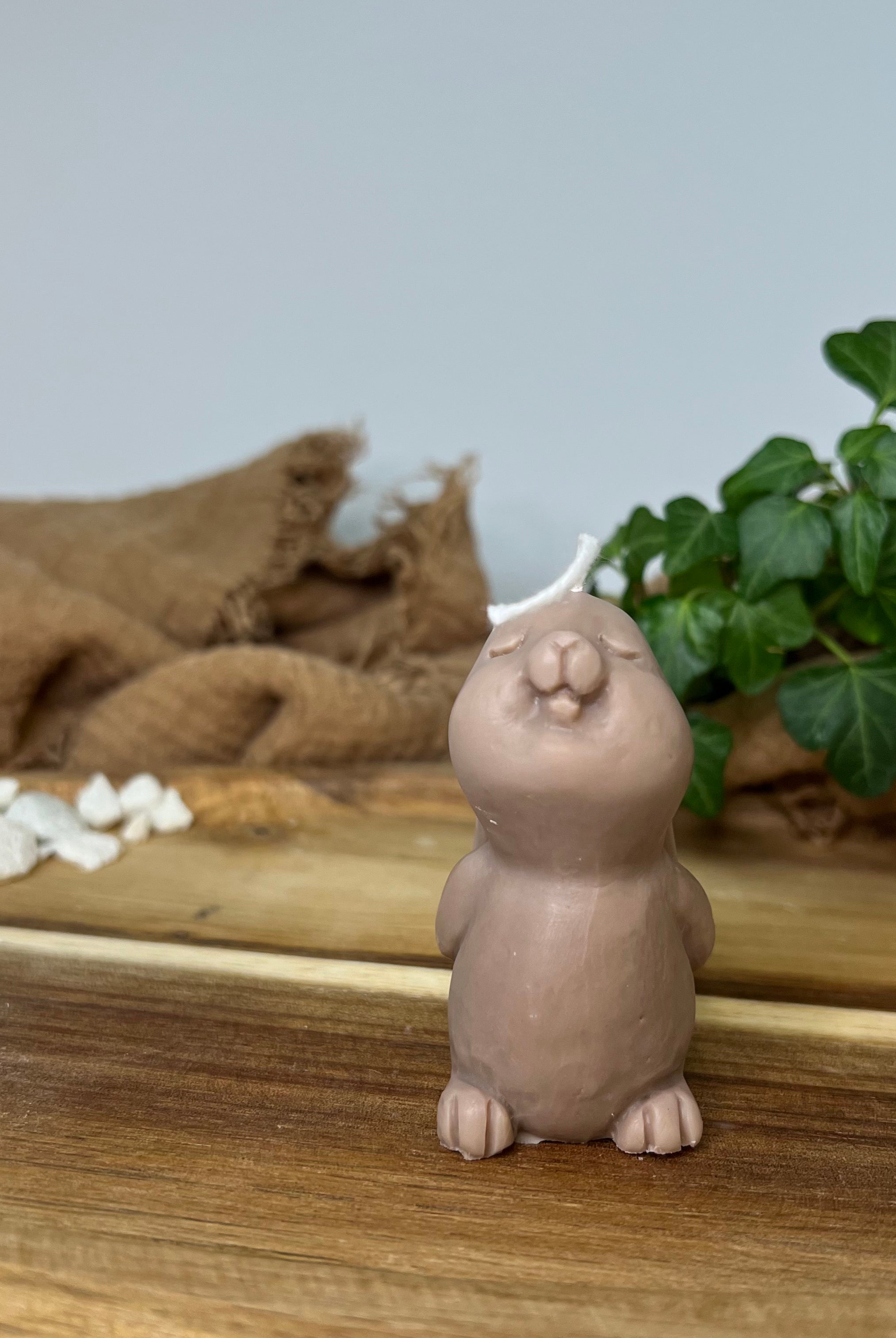 Hier sieht man unsere Mystic Meadow Bunny Light Kerze. Sie ist handgemacht aus Sojawachs. Umweltfreundlich und vegan, sowie nachhaltig. Die Kerze ist frei von Schadstoffen. In Braun.