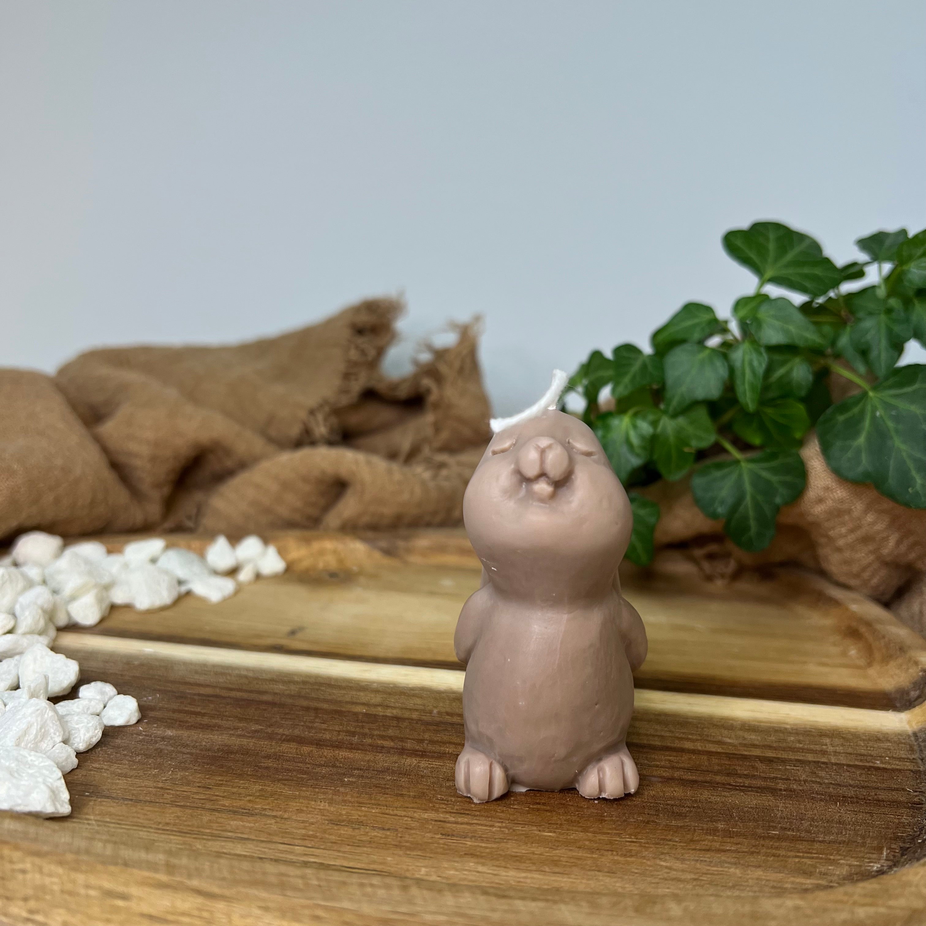 Hier sieht man unsere Mystic Meadow Bunny Light Kerze. Sie ist handgemacht aus Sojawachs. Umweltfreundlich und vegan, sowie nachhaltig. Die Kerze ist frei von Schadstoffen. In Braun.