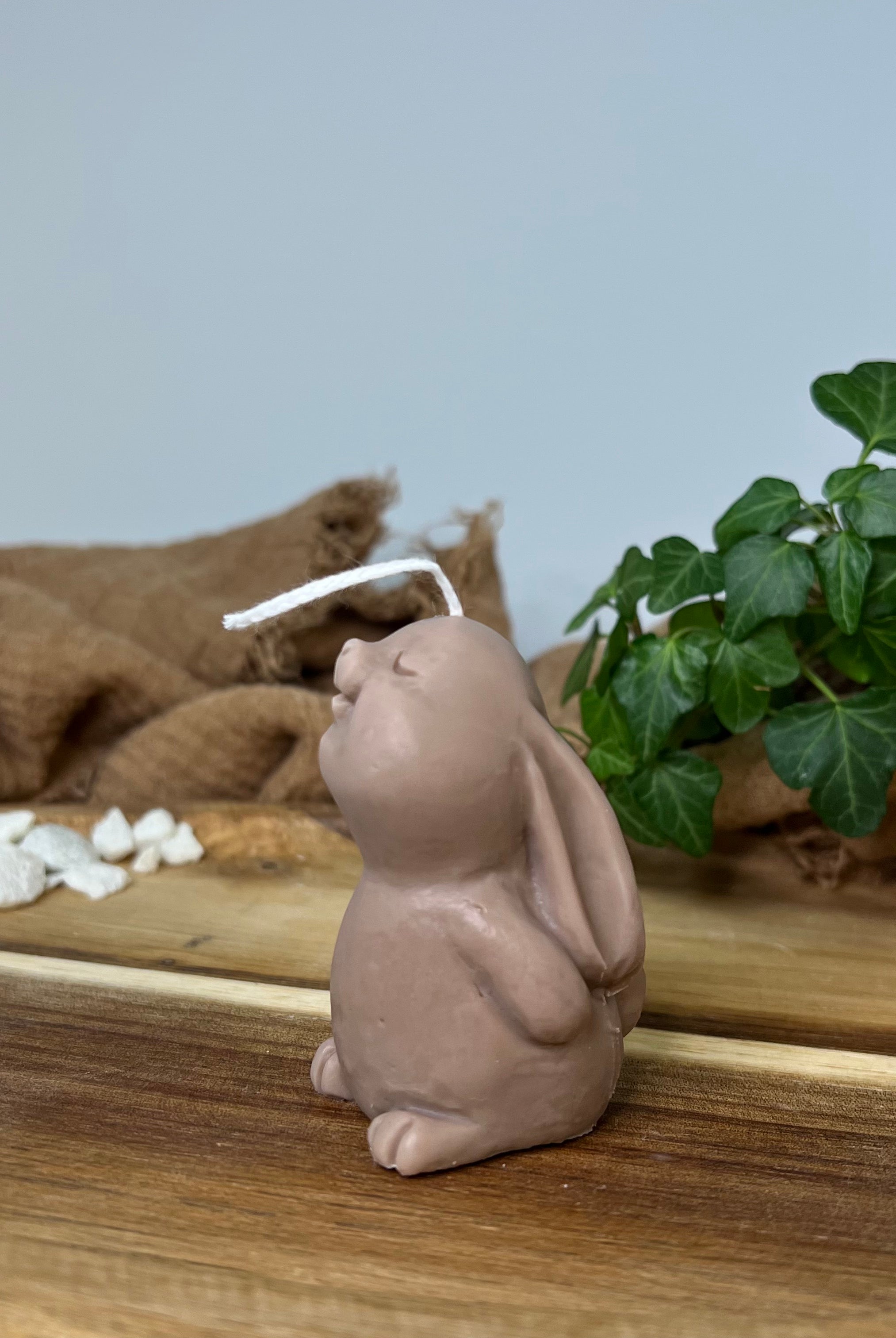 Mystic Meadow Bunny Light Kerze mit verschieden Düften. Der Geruch entspannt und ist gesund. In Braun.