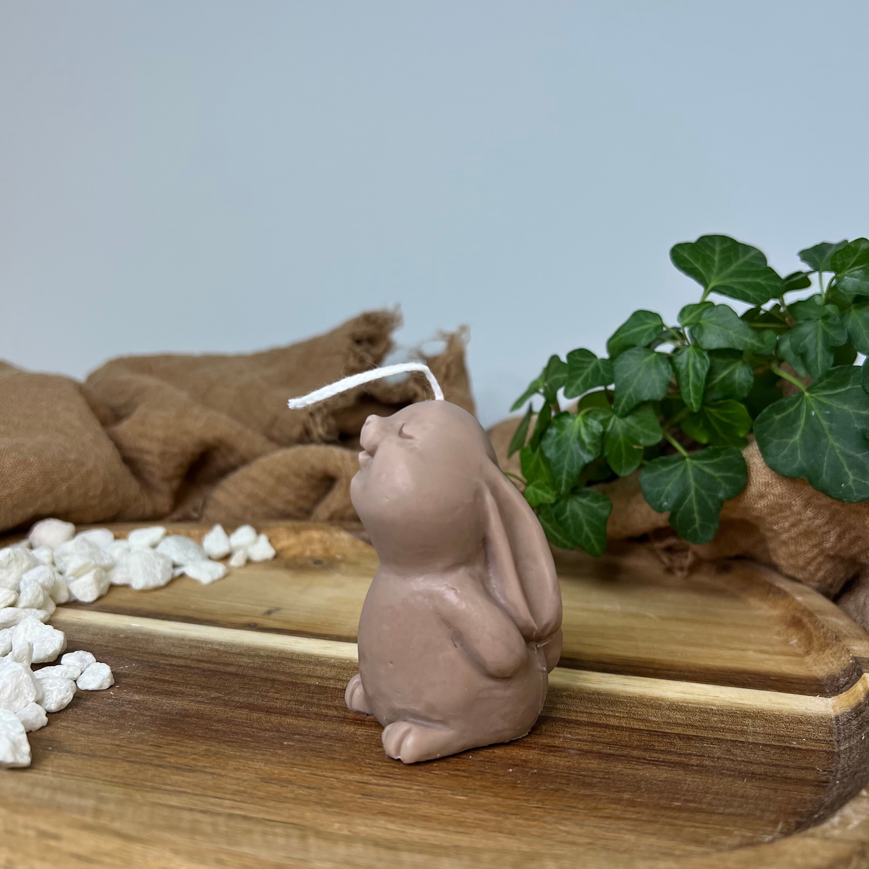 Mystic Meadow Bunny Light Kerze mit verschieden Düften. Der Geruch entspannt und ist gesund. In Braun.