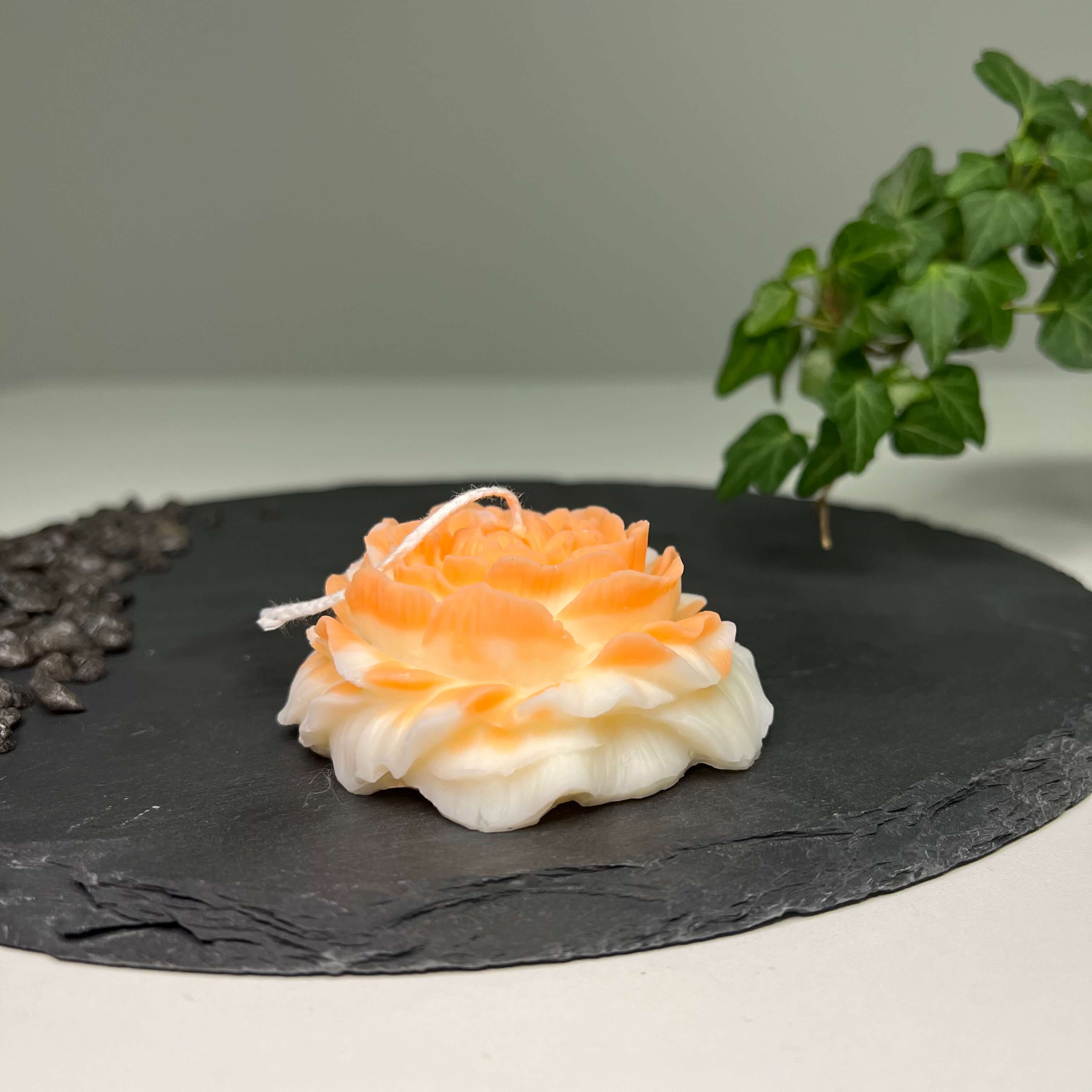 Hier sieht man unsere Rosé Petal Elegance Kerze. Sie ist handgemacht aus hochwertigem Sojawachs. Sie ist in verschiedenen Düften erhältlich. Die Düfte sind angenehm und entspannend, perfekt für gemütliche Abende. In orange.