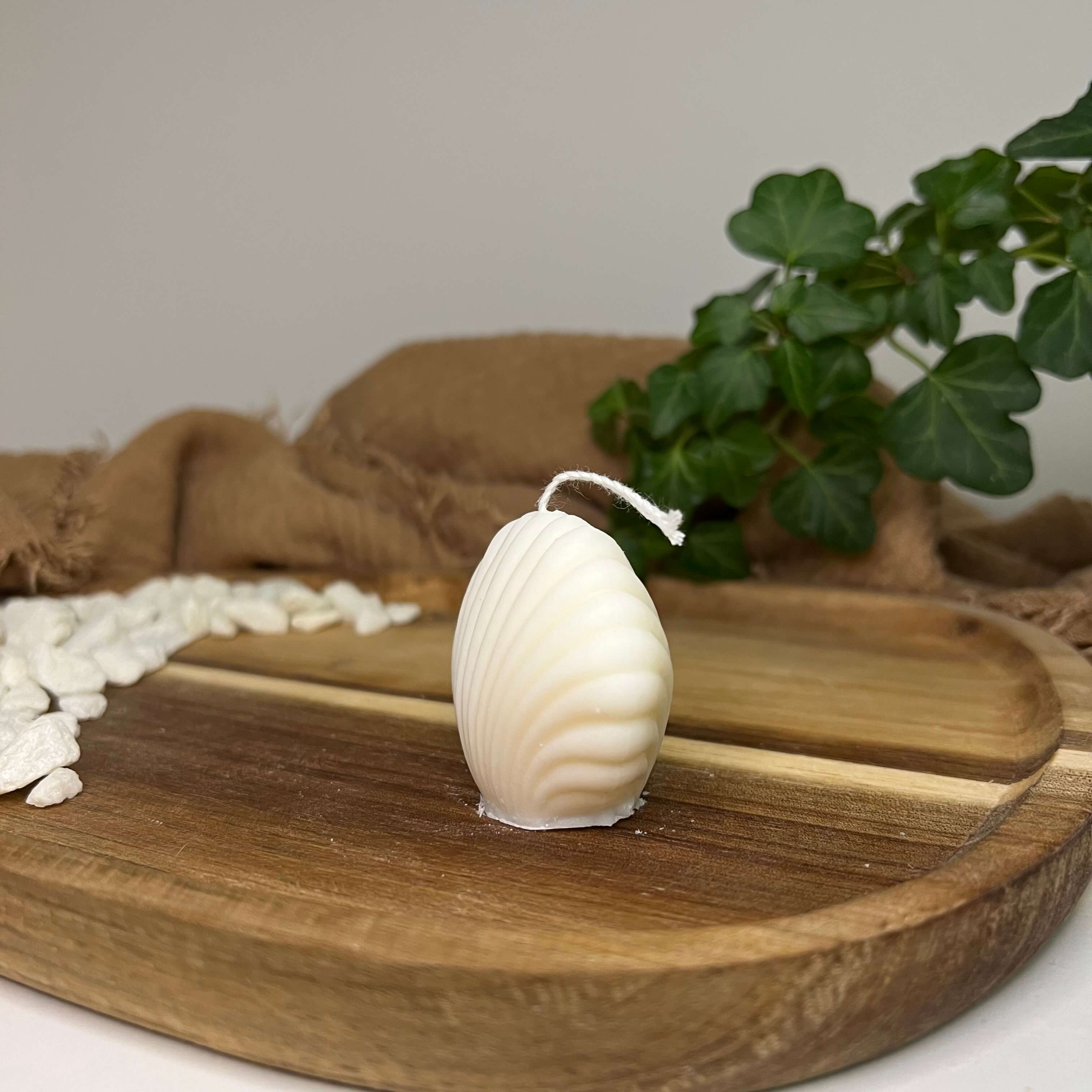 Unsere Seashell Light Kerze. Diese Duftkerze ist in mehreren Düften erhältlich. Die Düfte haben einen angenehmen und beruhigenden Geruch. Perfekt für entspannte und gemütliche Tage.