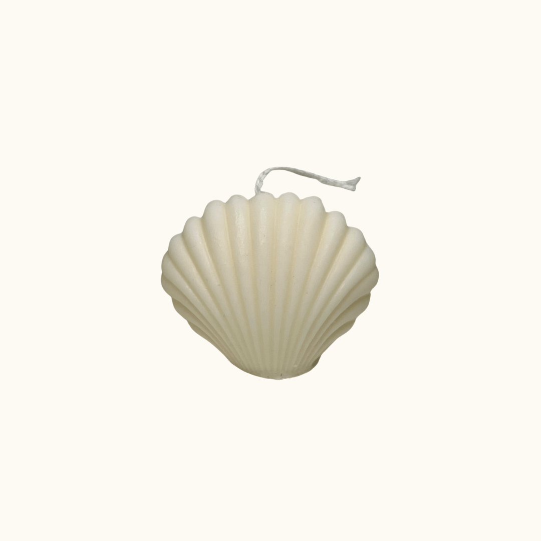 Auf diesem Bild sieht man unsere Seashell Light Kerze. Sie ist handgemacht aus Bio Sojawachs. Außerdem ist sie vegan, umweltfreundlich und nachhaltig.