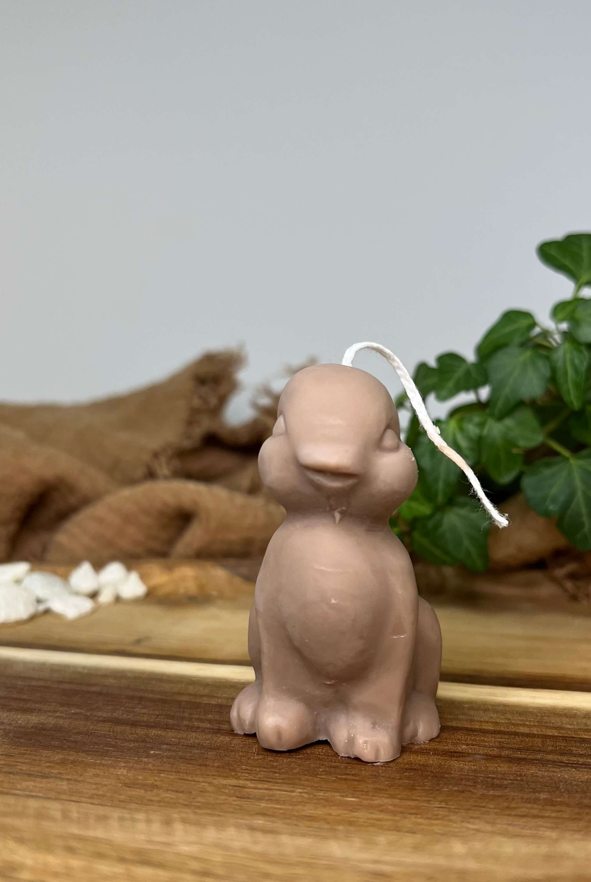 Dargestellt ist hier die Sitting Bunny Zenlight Kerze. Diese Hasenkerze ist die perfekte Osterdekoration. Mit handgemachtem Sojawachs ist sie auch Umweltfreundlich. Perfekt geeignet als Osterkerzen. In der Farbe Braun.