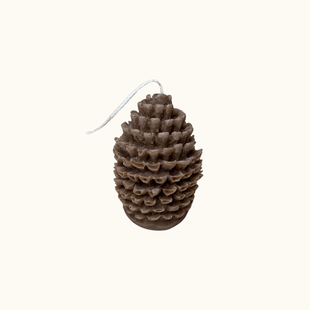 Auf diesem Bild sieht man unsere Woodland Pinecone Illumination Kerze. Sie ist handgemacht aus Bio Sojawachs. Außerdem ist sie nachhaltig, vegan und umweltfreundlich.