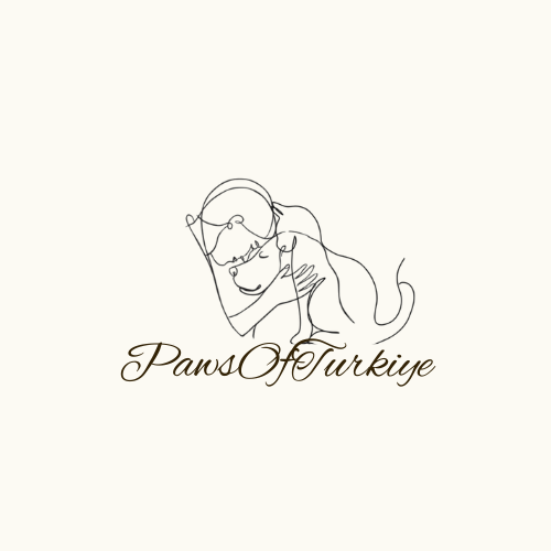 PawsOfTurkiye Logo – Tierschutzorganisation für Hunde und Katzen in der Türkei