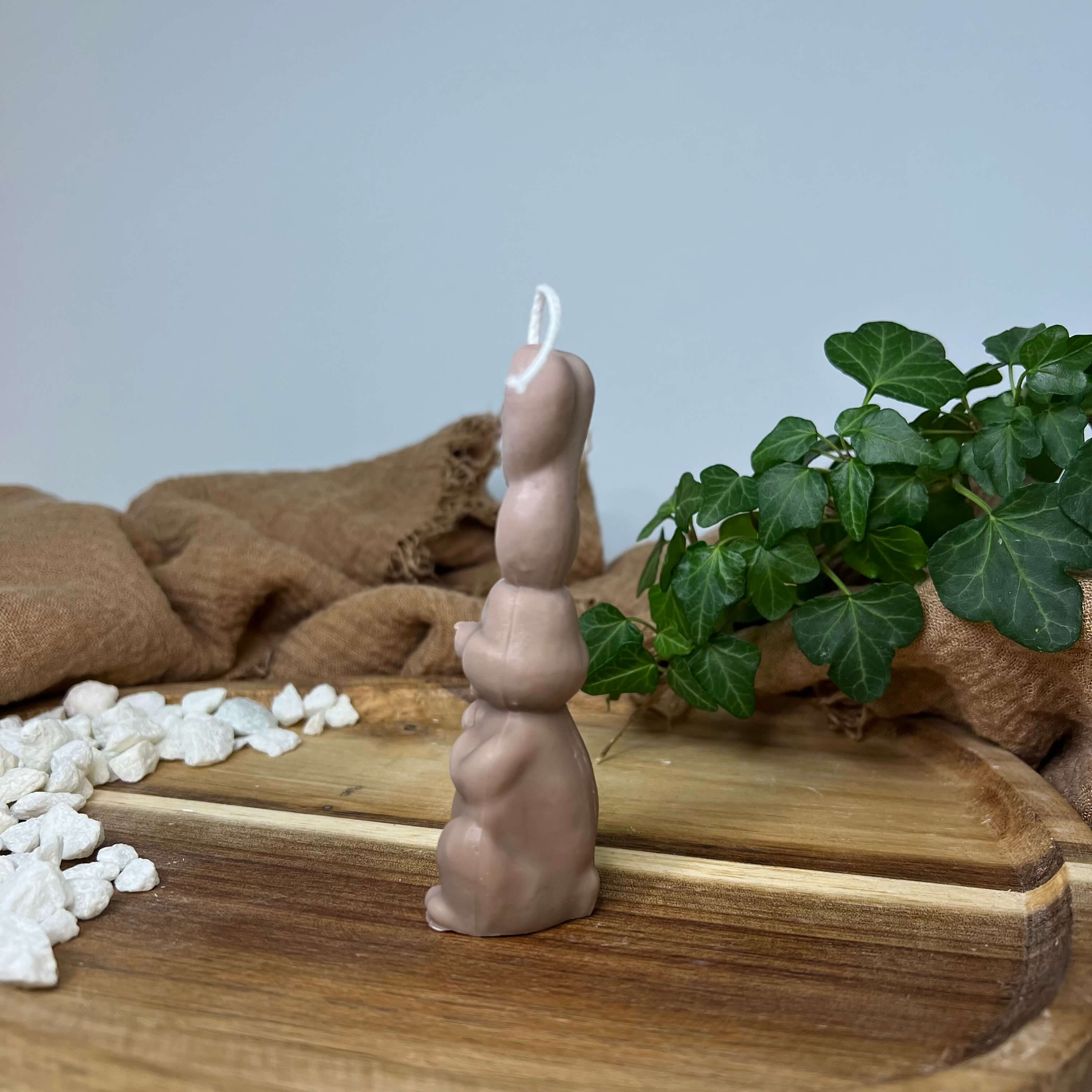 Unsere Bunny Bliss Candle Kerze. Diese Duftkerze ist in verschiedenen Düften erhältlich. Die Düfte haben einen angenehmen und beruhigenden Geruch. Sie sind perfekt für gemütliche und entspannte Abende geeignet. In Braun.