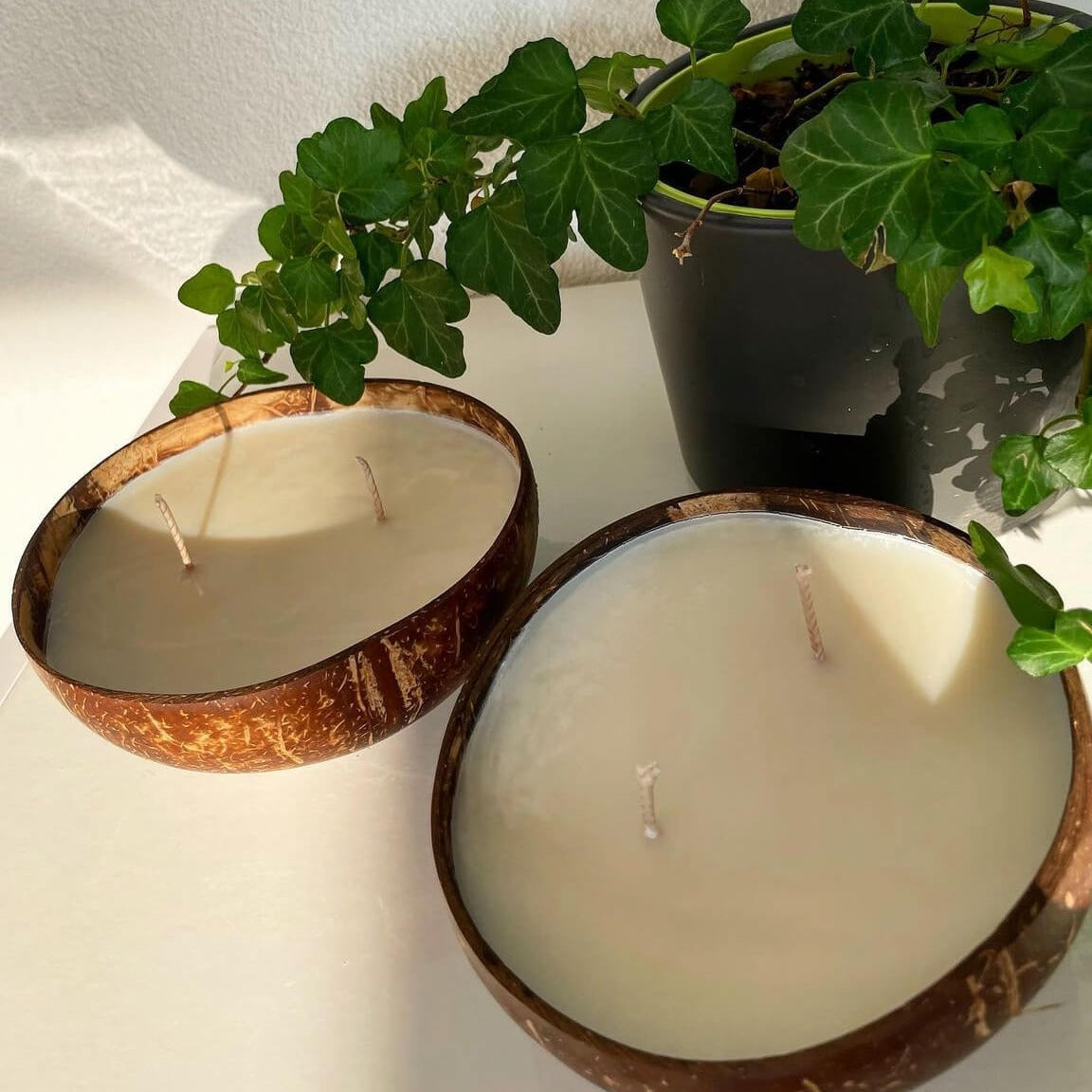 Die Coconut Dream ist perfekt als Gastgeschenk geeignet. Auch ist sie als Geburtstagsgeschenk oder Geschenk für besondere Anlässe geeignet. Sie ist handgemacht aus hochwertigem Sojawachs.