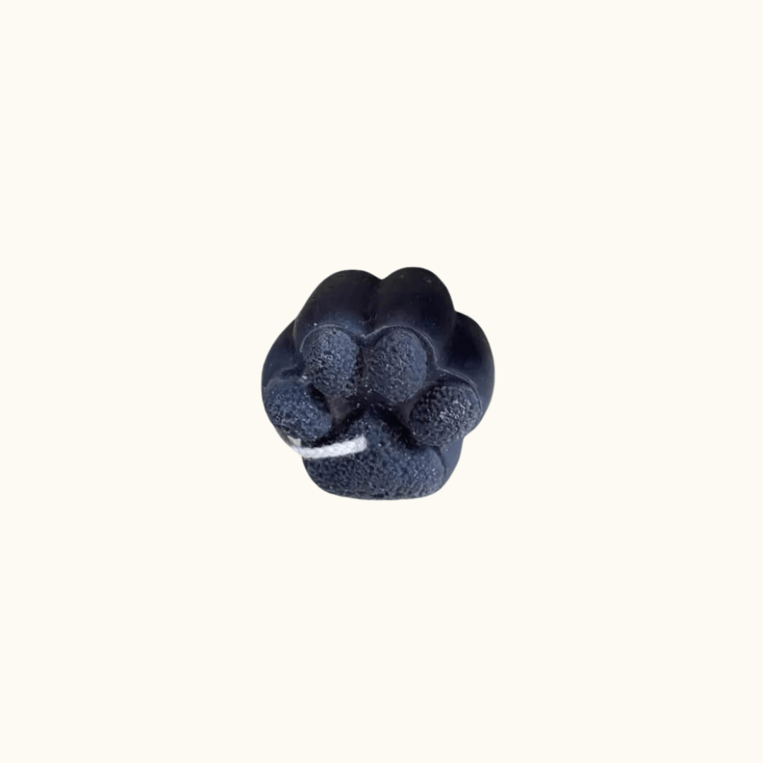 Auf diesem Bild sieht man unsere Pfoten Kerze Paw Candle. Sie ist handgemacht aus Sojawachs. Sie sieht elegant und ästhetisch aus und ist die perfekte Dekoration. Sie ist in verschiedenen Düften erhältlich. Das perfekte Geschenk für jedes Zuhause. In Anthrazit.