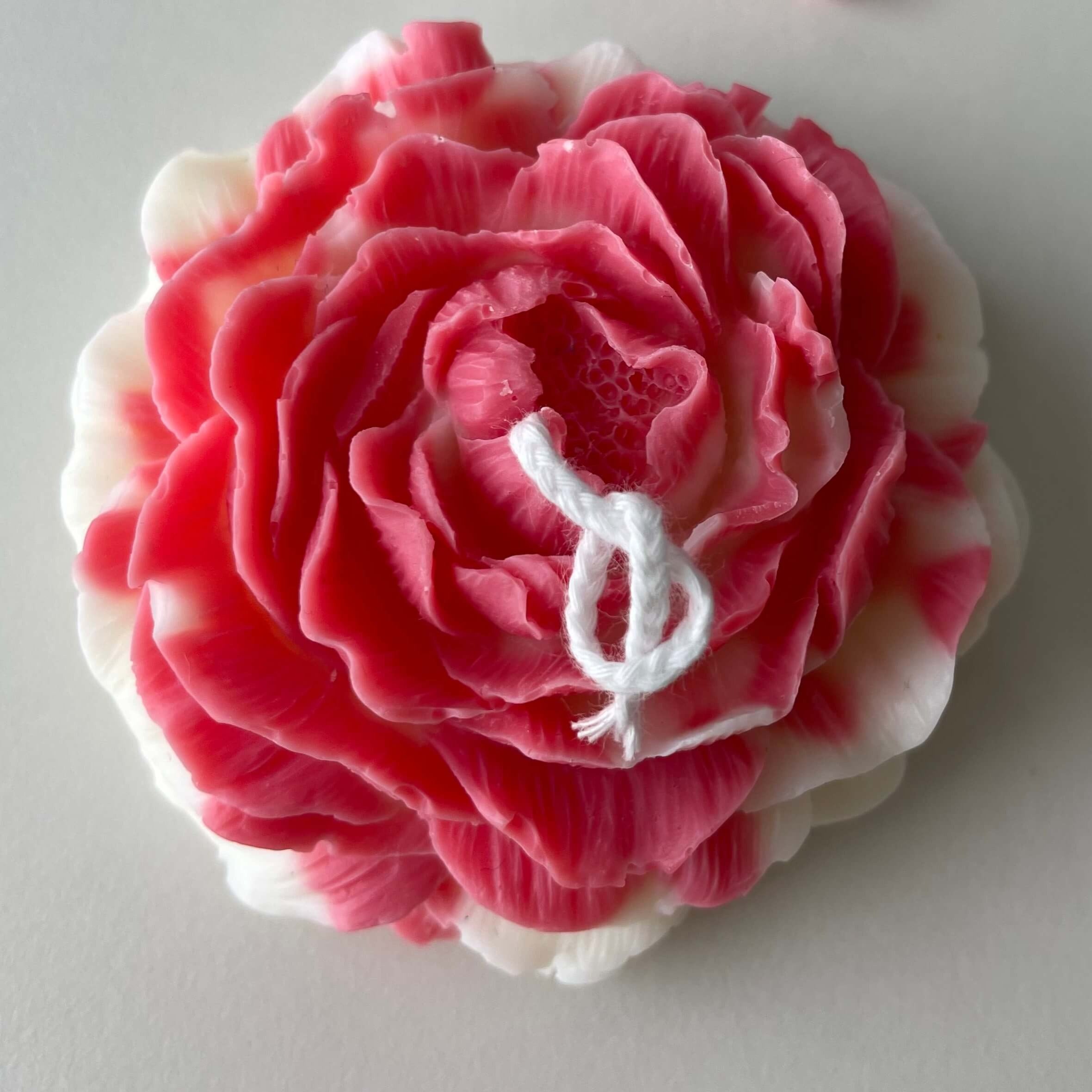 Auf diesem Bild sieht man die Rosé Petal Elegance Kerze. Sie ist handgemacht aus Bio Sojawachs. Zudem ist sie nachhaltig und vegan. In Rot.