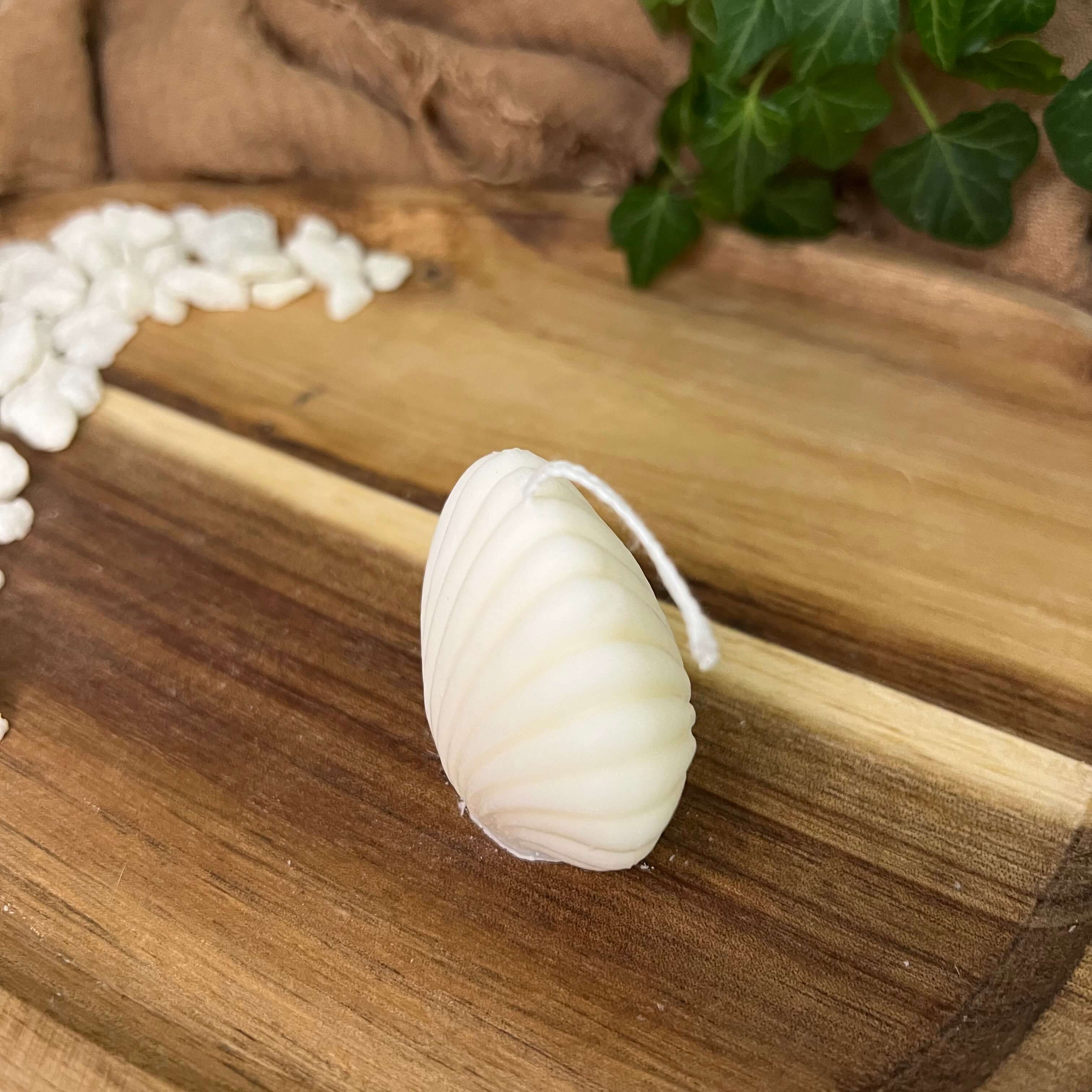 Die Seashell Light Kerze hat ein Muschel Design. Sie ist perfekt als Osterkerze, Weihnachtskerze oder Geburtstagskerze geeignet. Ihr einzigartiges Design machen sie Dekorativ.