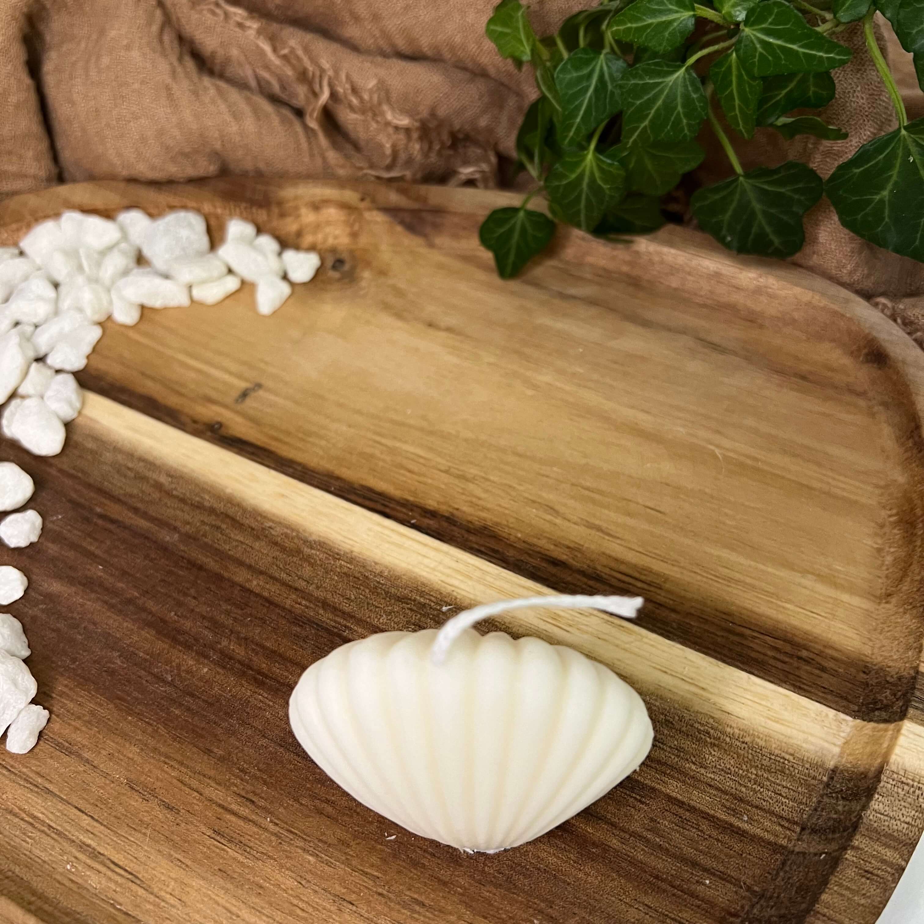 Seashell Light Sojawachs Kerze mit Muschel Design.