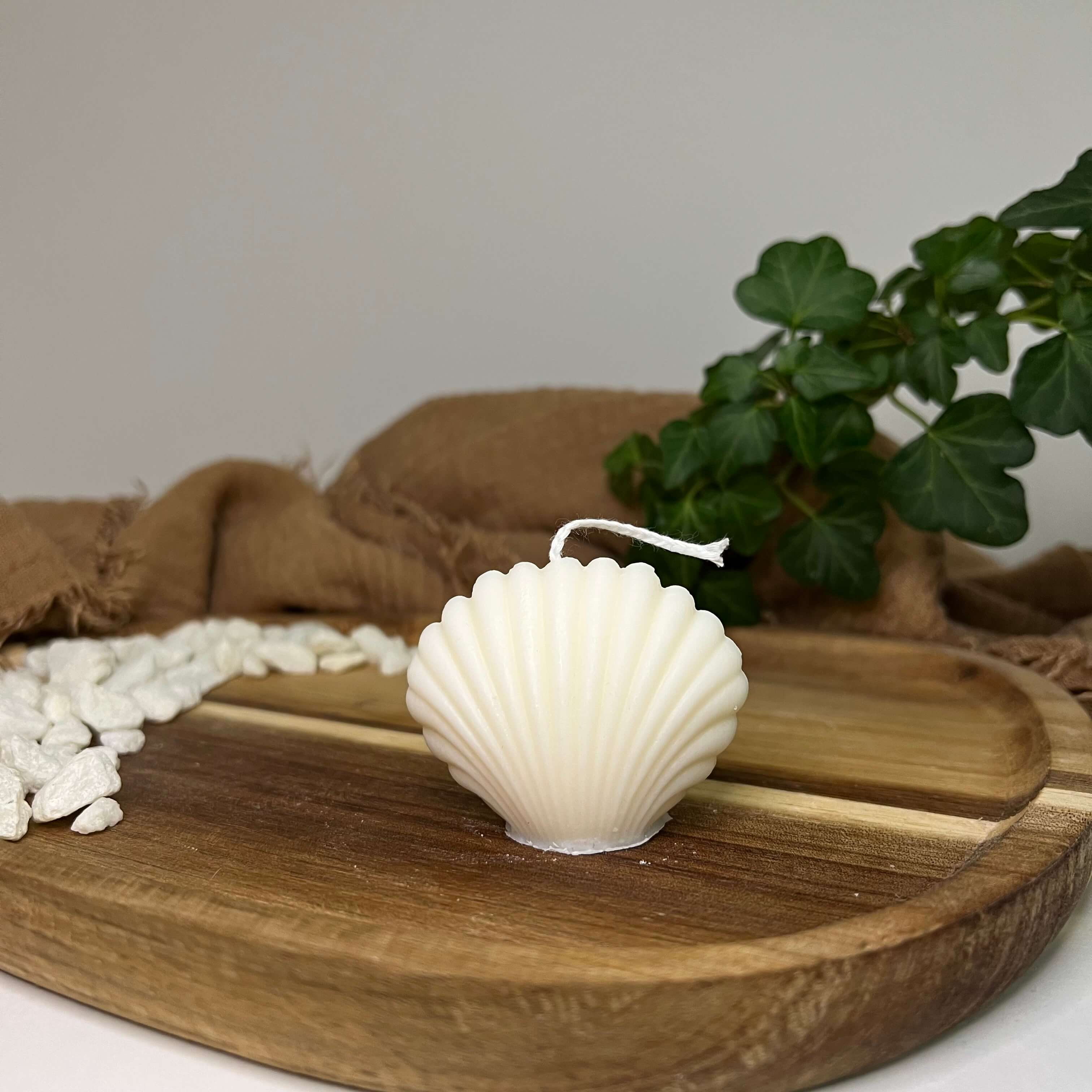 Hier sieht man unsere Kerze Seashell Light. Mit ihrem Muschel Design ist sie die perfekte Dekoration. Sie sieht elegant und ästhetisch aus. Handgefertigt aus hochwertigem Sojawachs.