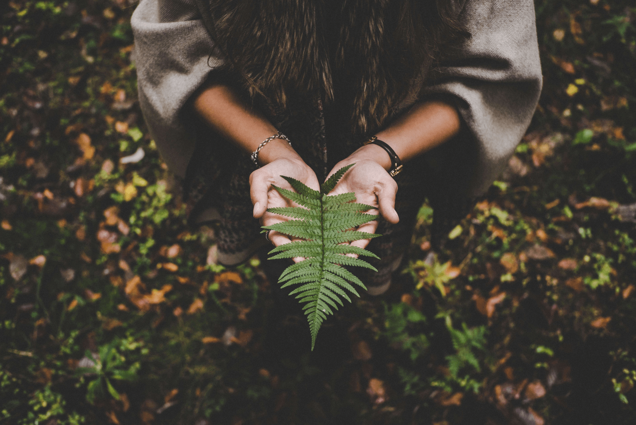 Sym-Aesthetics achtet auf die Umwelt und benutzt umweltfreundliches Bio-Sojawachs. Unsere Produkte sind nachhaltig und qualitativ. 