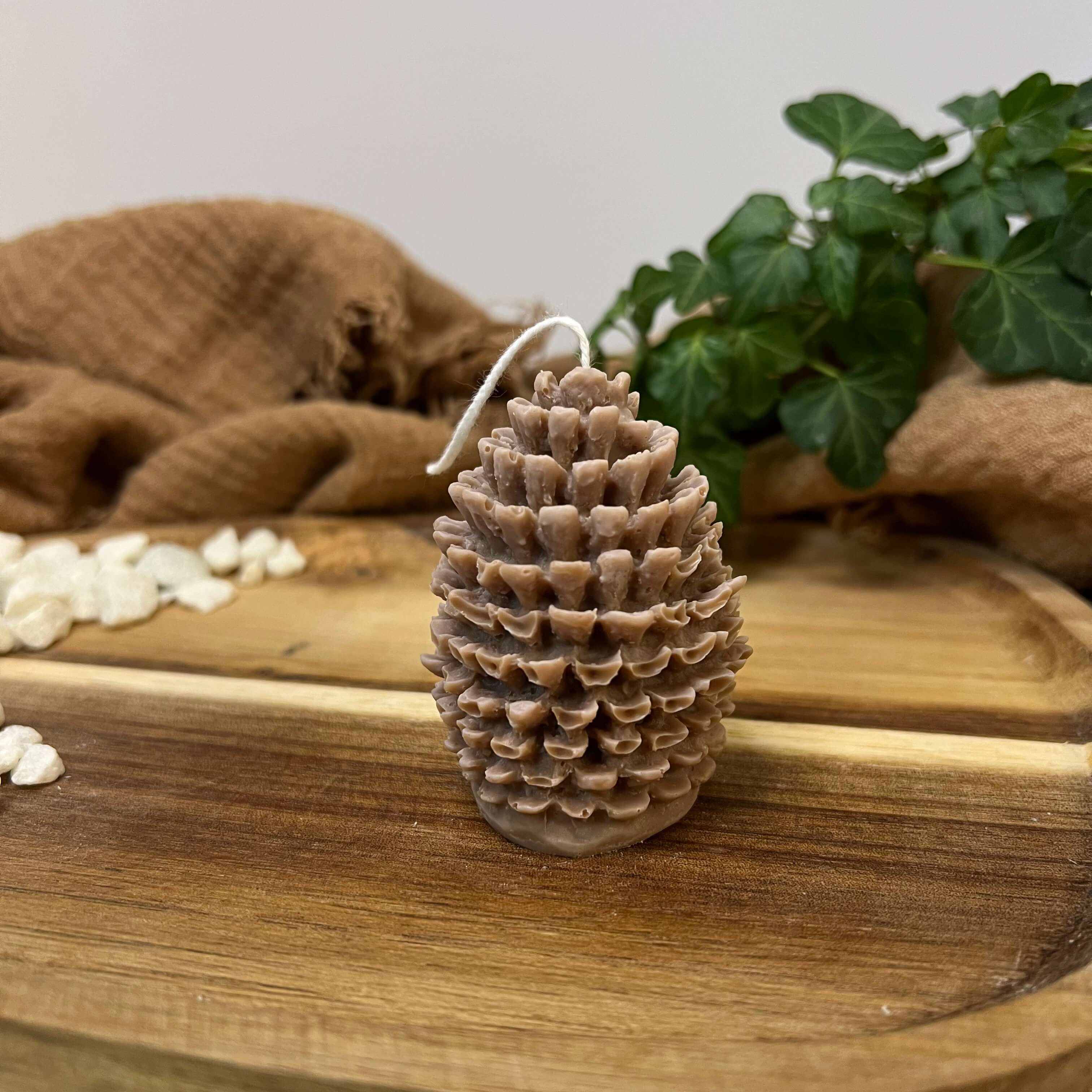 Hier sieht man unsere Woodland Pinecone Illumination Kerze. Diese Tannenzapfen Kerze ist perfekt als Dekoration geeignet. Sie sieht elegant und ästhetisch aus.